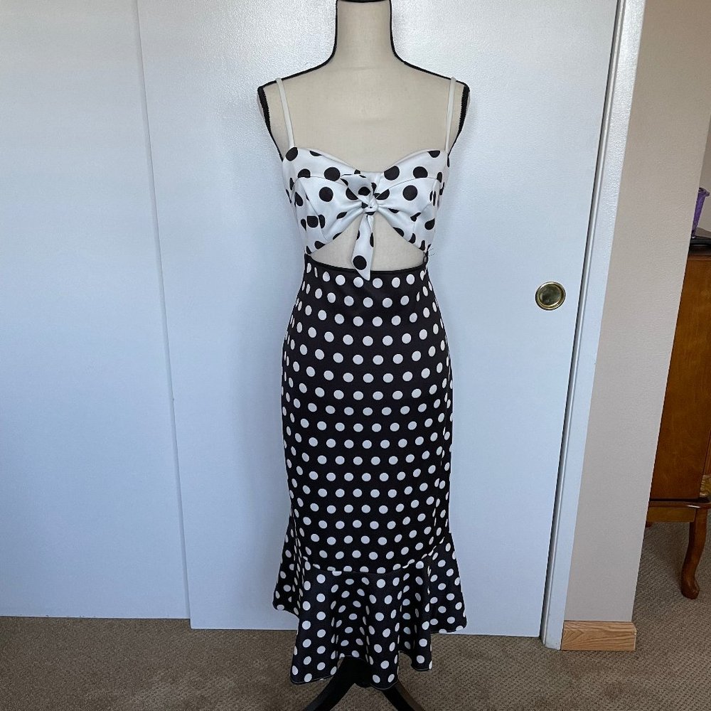 Venus Polka Dot Party Dress.  Adjustable Straps.  Never been worn.  Size L.